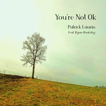 You're Not Ok - Patrick Laurin